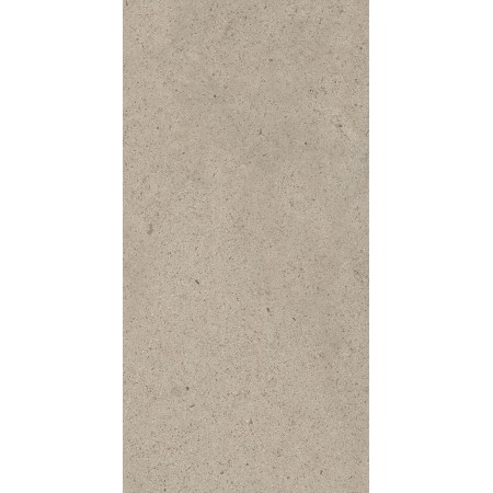 CASAMOOD Sensi Ivoire Poussière 40x80 Rectifié Mat Naturel 9mm