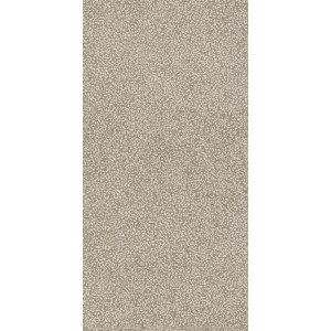 CASAMOOD Sensi Ivoire Lithos 40x80 Rectifié Mat Naturel 9mm