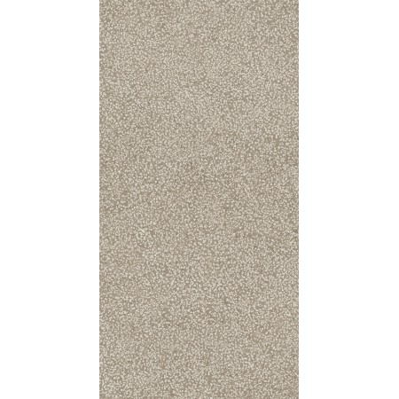 CASAMOOD Sensi Ivoire Lithos 40x80 Rectifié Mat Naturel 9mm