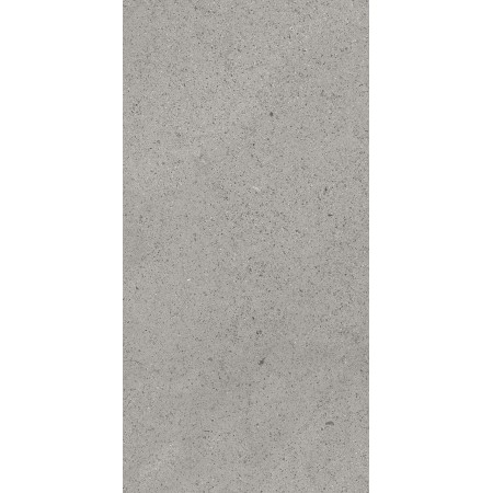 CASAMOOD Sensi Grey Dust 40x80 Rectifié Mat Naturel 9mm