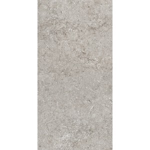 CASAMOOD Sensi Grey Fossil 40x80 Ret Matt Naturel 9mm