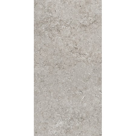 CASAMOOD Sensi Grey Fossil 40x80 Ret Matt Naturel 9mm