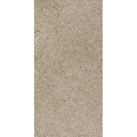 CASAMOOD Sensi Taupe Lithos 40x80 Rectifié Mat Naturel 9mm