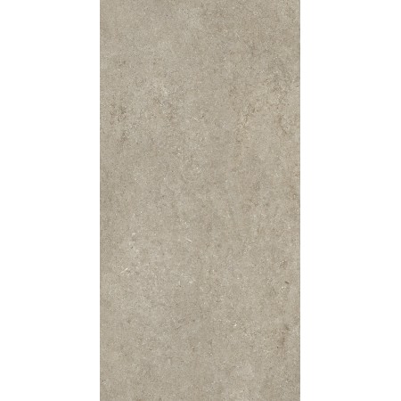 CASAMOOD Sensi Ivoire Fossile R+ptv 60x120 Ret 9mm