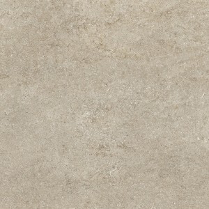 CASAMOOD Sensi Ivoire Fossile R+ptv 80x80 Rect 9mm