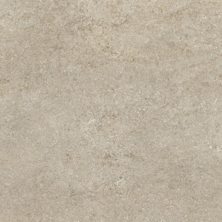 CASAMOOD Sensi Ivoire Fossile R+ptv 80x80 Rect 9mm