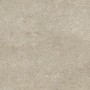 CASAMOOD Sensi Ivoire Fossile R+ptv 80x80 Rect 9mm