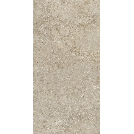 CASAMOOD Sensi Ivoire Fossile R+ptv 40x80 Rett 9mm