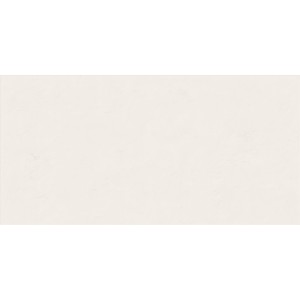 ABK WIDE & STYLE MINI NEIGE 60X120 RETTIFICATO
