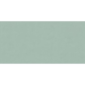 ABK WIDE & STYLE MINI MINT 60X120 RECTIFIÉ