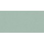 ABK WIDE & STYLE MINI MINT 60X120 RECTIFIÉ