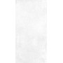 CAESAR REJOINDRE ÉCLAT DOUX 60X120 RECTIFIÉ