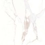 CAESAR ANIMA CALACATTA OR LUCIDÉ 120X120 RECTIFIÉ