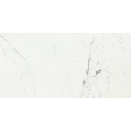 CAESAR ANIMA STATUARIO VENATO MATT 60X120 RECTIFIÉ