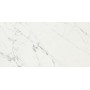 CAESAR ANIMA STATUARIO VENATO MATT 60X120 RECTIFIÉ