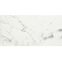 CAESAR ANIMA STATUARIO VENATO MATT 60X120 RECTIFIÉ