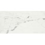 CAESAR ANIMA STATUARIO VENATO MATT 60X120 RECTIFIÉ