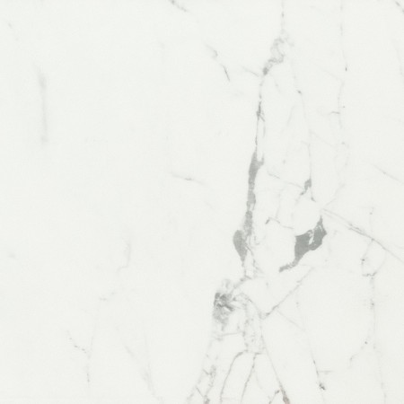 CAESAR ANIMA STATUAIRE VENEER POLI 60X60 RECTIFIÉ