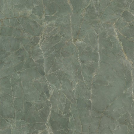 CAESAR ANIMA EVER SAGE GREEN POLI 120X120 RECTIFIÉ