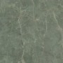 CAESAR ANIMA EVER SAGE GREEN POLI 120X120 RECTIFIÉ