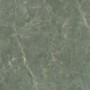 CAESAR ANIMA EVER SAGE GREEN POLI 120X120 RECTIFIÉ