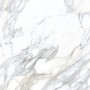 CAESAR ANIMA EVER APUAN OR POLI 120X120 RECTIFIÉ
