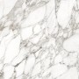 CAESAR ANIMA EVER LUXURY ARABESQUE LUCIDÉ 120X120 RÉCTIFIÉ