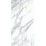 CAESAR ANIMA EVER APUAN OR POLI 60X120 RECTIFIÉ