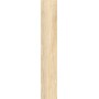 CAESAR FABULA CHÊNE MATT 20X120 RECTIFIÉ