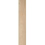 CAESAR FABULA ULMUS MATT 20X120 RECTIFIÉ