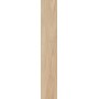 CAESAR FABULA ULMUS MATT 20X120 RECTIFIÉ