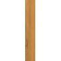 CAESAR FABULA THÉCA MATT 20X120 RECTIFIÉ