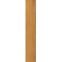 CAESAR FABULA THÉCA MATT 20X120 RECTIFIÉ