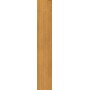 CAESAR FABULA THÉCA MATT 20X120 RECTIFIÉ