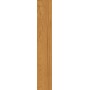 CAESAR FABULA THÉCA MATT 20X120 RECTIFIÉ