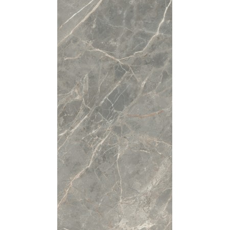 REX CÉRAMIQUES ÉTOILE GRIS BRILLANT 60X120 RECTIFIÉ