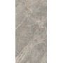 REX CÉRAMIQUES ÉTOILE GRIS BRILLANT 60X120 RECTIFIÉ 6 mm
