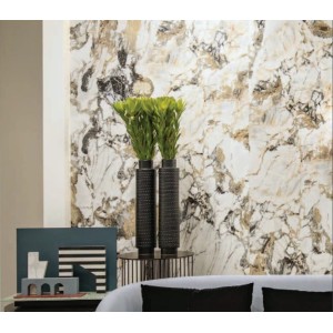 REX CÉRAMIQUES ETOILE SYMPHONIE MATT 60X120 RECTIFIÉ 6mm