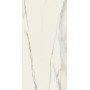REX CÉRAMIQUES I CLASSIQUES CALACATTA GOLD BRILLANT 60x120 6mm