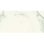 REX CÉRAMIQUES I CLASSIQUES STATUARIO BRILLANT 30X60 - 9mm