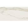 REX CERAMICHE I CLASSICI CALACATTA GOLD MATTE 30X60 SP.9mm