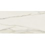 REX CERAMICHE I CLASSICI CALACATTA GOLD MATTE 30X60 SP.9mm