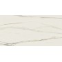 REX CERAMICHE I CLASSICI CALACATTA GOLD GLOSSY 30X60 -SP.9mm