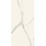 REX CÉRAMIQUES LES CLASSIQUES STATUARIO SOFT 60X120 RECTIFIÉ 6mm