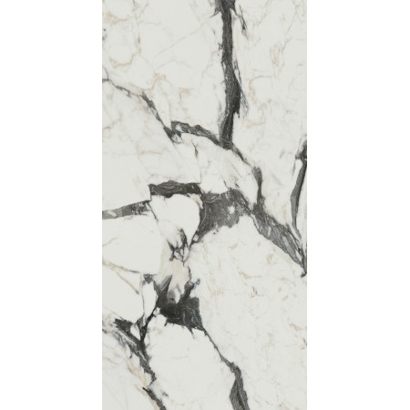 REX CÉRAMIQUES LES BIJOUX CALACATTA ALTISSIMO BLANC BRILLANT 60X120 RECTIFIÉ 9mm