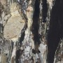 REX CERAMICHE LES BIJOUX LES QUATRE SAISONS GLOSSY 120X120 RÉCTIFIÉ 6mm