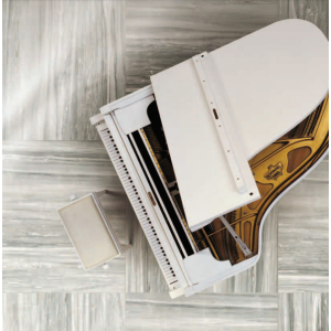 REX CÉRAMIQUES PREXIOUS PEARL ATTRACTION MAT TE 60X60 RECTIFIÉ 9mm