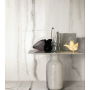 REX CÉRAMIQUES PREXIOUS WHITE FANTASY GLOSSY 60X60 RETTIFIÉ 9mm