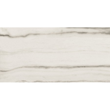 REX CÉRAMIQUES PREXIOUS WHITE FANTASY MATTE 60X120 RECTIFIÉ 9mm