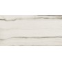 REX CÉRAMIQUES PREXIOUS WHITE FANTASY MATTE 60X120 RECTIFIÉ 9mm